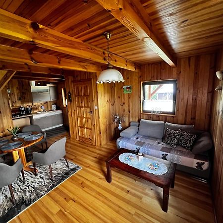 Villa Domek U Karkonosza Kamienna Gora Exterior foto
