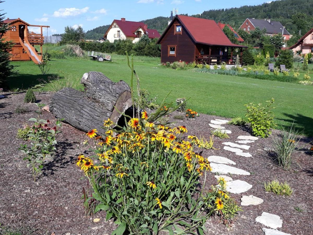 Villa Domek U Karkonosza Kamienna Gora Exterior foto