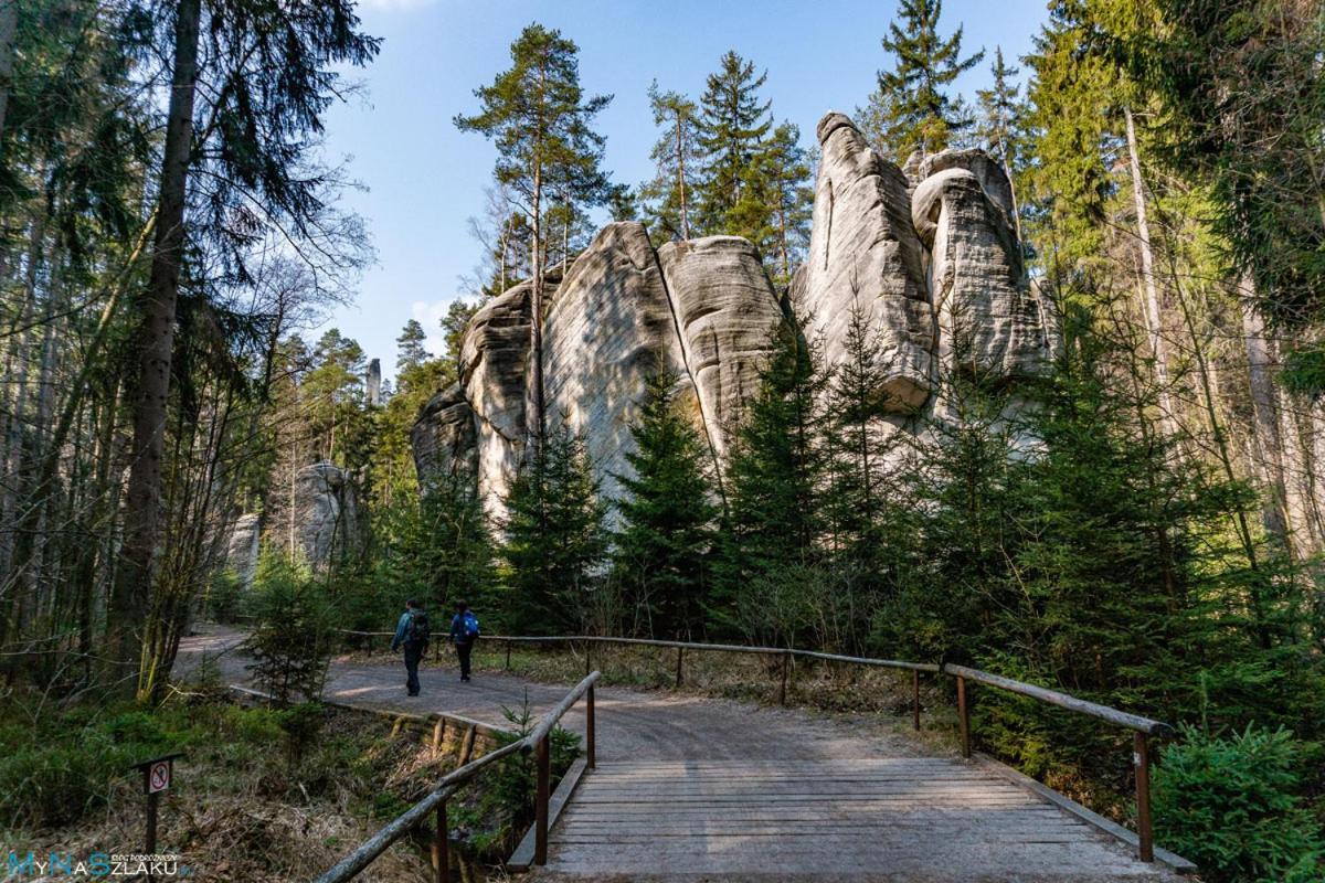 Villa Domek U Karkonosza Kamienna Gora Exterior foto