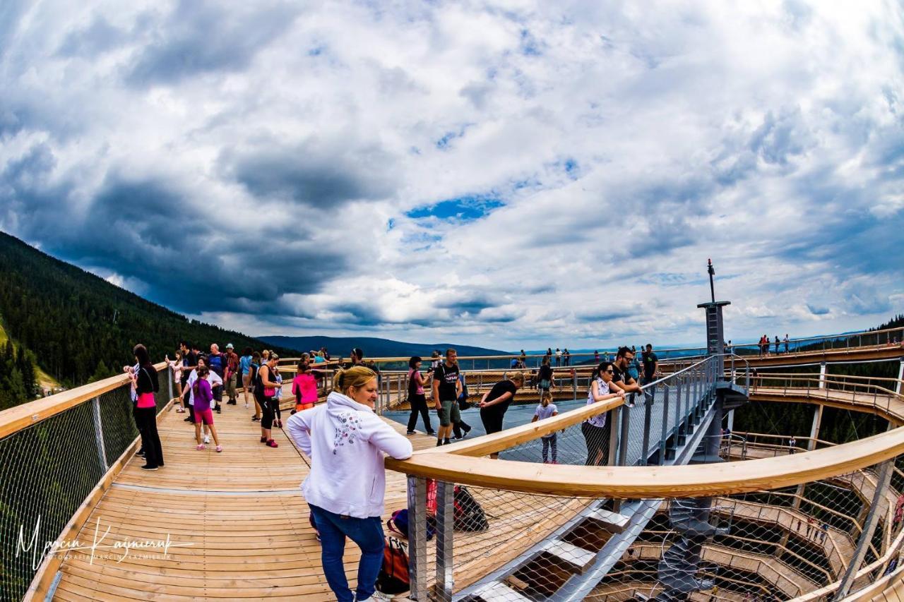 Villa Domek U Karkonosza Kamienna Gora Exterior foto