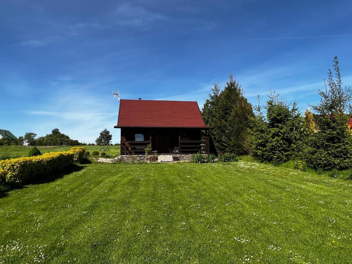 Villa Domek U Karkonosza Kamienna Gora Exterior foto