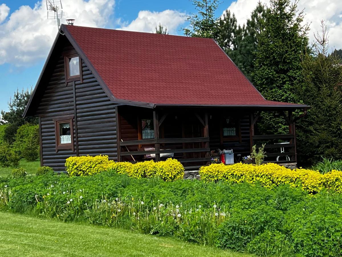 Villa Domek U Karkonosza Kamienna Gora Exterior foto