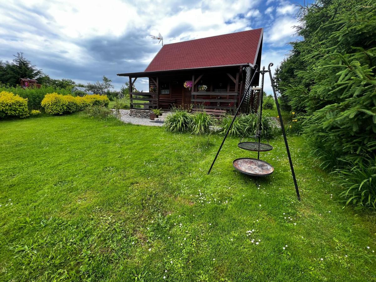 Villa Domek U Karkonosza Kamienna Gora Exterior foto